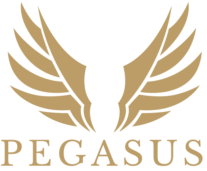 Pegasus Advisors